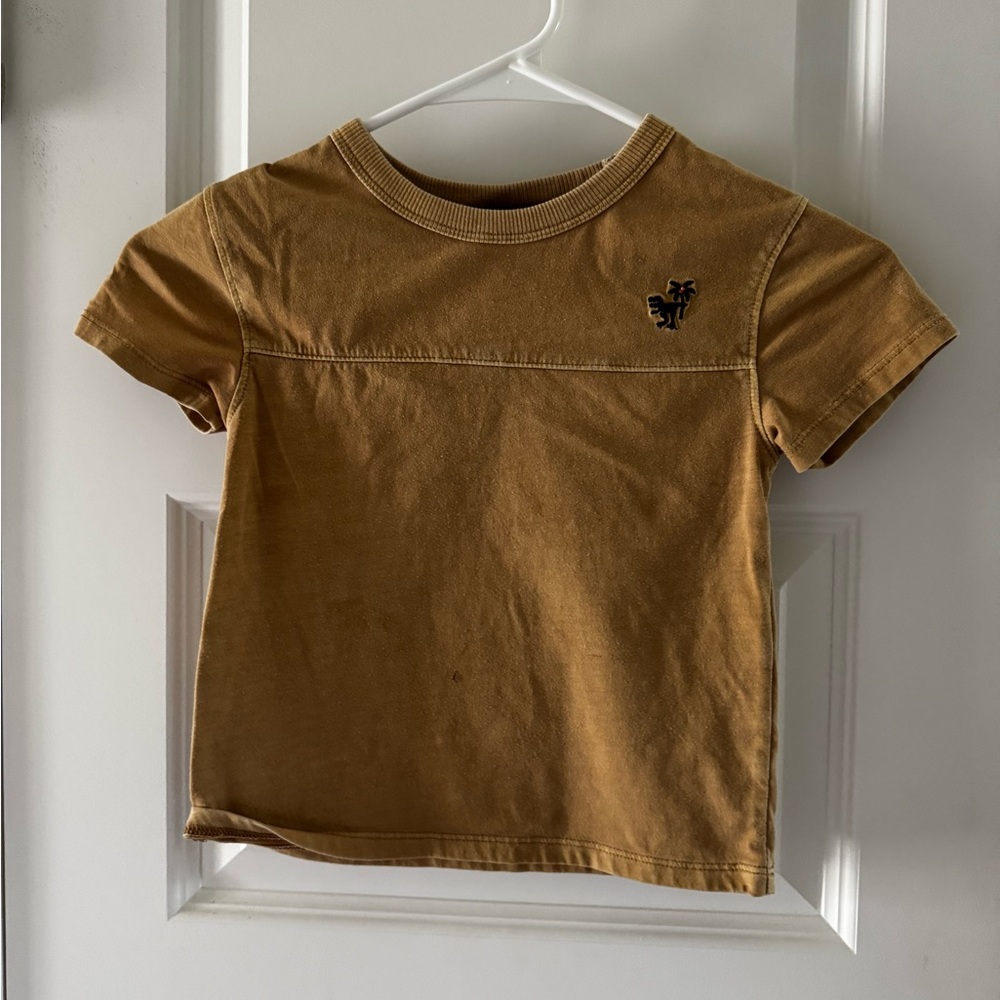Brown Kids T-Shirt